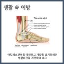 코코아짐 이미지
