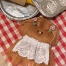 더스티(DUSTY) 이미지