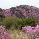 4월 정기산행 일정 공지 이미지