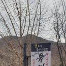 유씨집