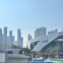 [경기고양] 아이와 킥보드/자전거/인라인 타러 일산호수공원으로!