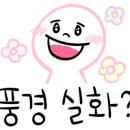 라르브르플라워스튜디오 이미지