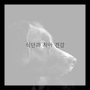 미소가이드