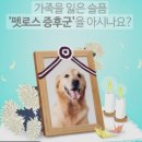장례클리닉 이미지
