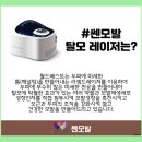 참한약 이미지