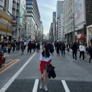 11590-104 | 도쿄 긴자/시부야 : 1일차 - 나리타 1공항, 모토뮤라 규카츠, 킹그램, 긴자 777, 죠몬, 하이볼바1923