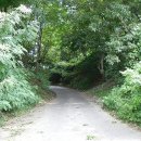 도리재농장 이미지