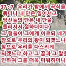 칠년풍년
