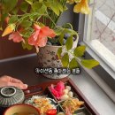 이로도리