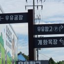 우유 아이스크림 만들기 | 여름 방학 맞이 우유창고 달콤한 아이스크림만들기 체험 후기