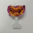 건치치과기공소 이미지