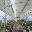 조성식당 | 경주 버드파크 식당 동궁원 체험관 및 라원 조성 사업