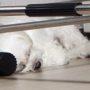 인계로 270번길 2 이미지