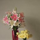 은송이네 이미지