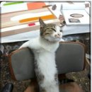 아동4통 이미지