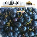 삼촌네푸드