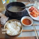 보배여행사 | [공지] With 펫츠고 ~ 경주, 시간을 걷는 댕댕이