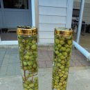 (주)성우식품 이미지