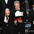 문라이트 이미지