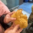 밀향 | [문정/개롱]밀향 진 칼국수 메뉴 내돈내산/오픈기념 수육 서비스