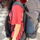 600028 | 3주간의 인도 여행 and 인도 연수