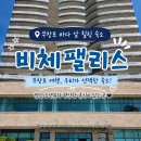 비체 | 무창포해수욕장, 아이들과 다녀온 보령 비체팰리스 오션뷰 솔직후기
