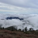 노고단-15 이미지