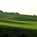 서산 한우개량사업소 이미지