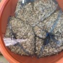 학생분식 이미지