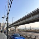 코끼리베이글 | [한남/성수 코끼리베이글] 한남&amp;성수 코끼리베이글 방문 후기 비교 (맛/주차 정보)