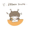 에구구 Daum카페