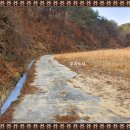 닭실민박 이미지