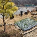 정희네 들꽃이야기 이미지