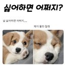 울산경찰청어린이집 | 5월도 행복하게🍀 - 2편