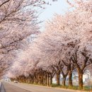 남대천제방길 이미지