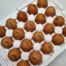 한살림울산생활협동조합 이미지