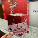 정관장 반석점 | 251216 배구 직관 : 정관장 vs 흥국생명