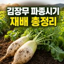 흥농종묘농약 | 김장무 파종시기 지역별 총정리｜씨앗 심는 방법부터 솎아주기·수확까지