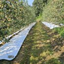 음지농장 이미지