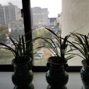 문창민한의원 이미지