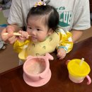 함께 시작해봐요+ 나만의 글쓰기 | [모인의 추천 코너] 이유식 초기~중기 토핑이유식, '바맘' 야채큐브 솔직 후기