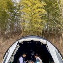 금성산성오토캠핑장 이미지