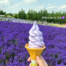 2GO농장 | 홋카이도 삿포로 가볼만한 곳, 먹을만한 곳