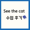 CAT | See the Cat 수업 마무리 후기