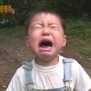 이문26 | [웨딩홀투어] 06_노블발렌티 대치 견적공유(26년 상반기)