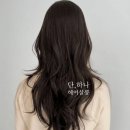 248 | 2026 여자 헤어스타일! 얼굴 작아보이는 컷 TOP5 다산미용실 단하나헤어살롱