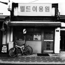 월드이용원