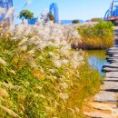 바람소리 이미지