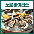 굴선생 | 굴 노로바이러스 증상 잠복기 치료 후기, 성인 어린이 차이점