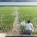 함양군농업기술센터 이미지